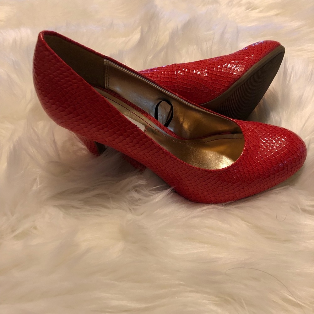 Faux Snakeskin Steve Maddens